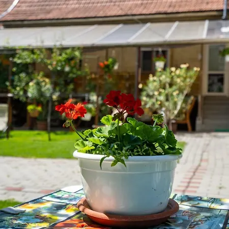 Muskáti Apartman.hunyadi.ut.6.sz. Paks